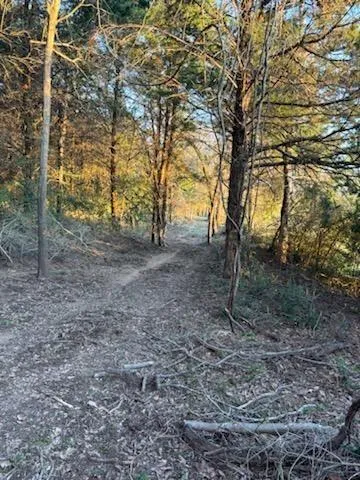 Fcr