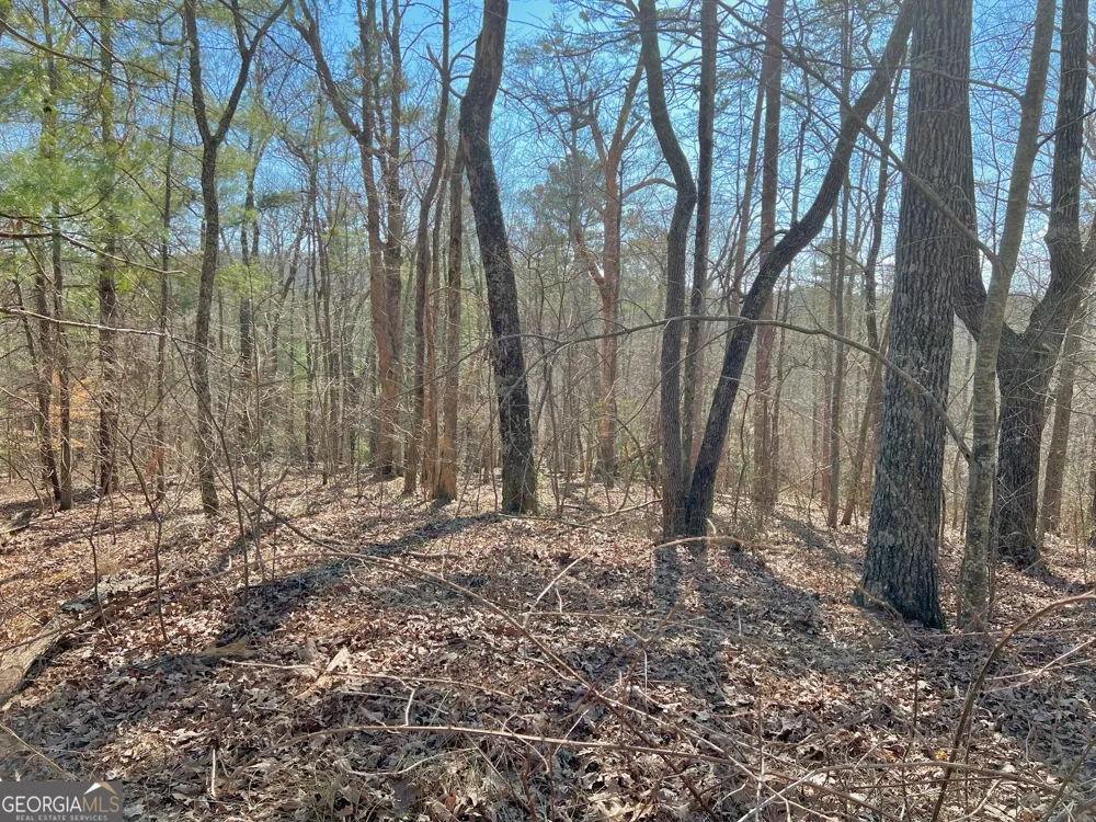 113 Beech Tree DR Ellijay, GA 30540