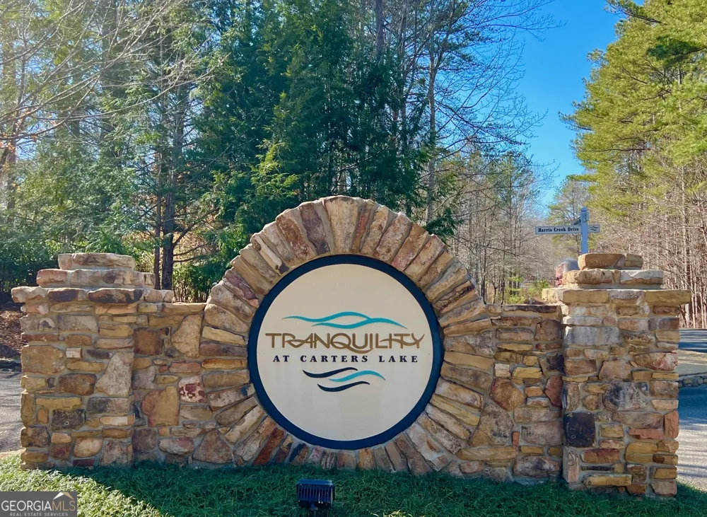 113 Beech Tree DR Ellijay, GA 30540