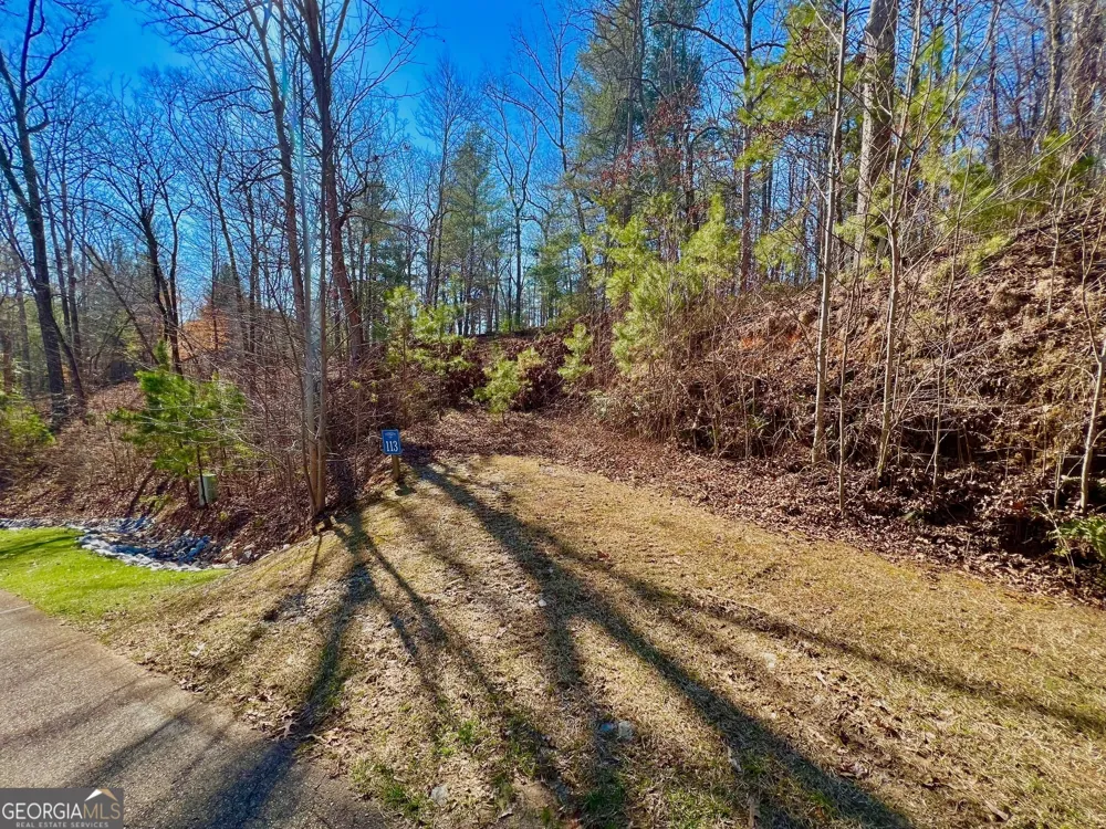 113 Beech Tree DR Ellijay, GA 30540