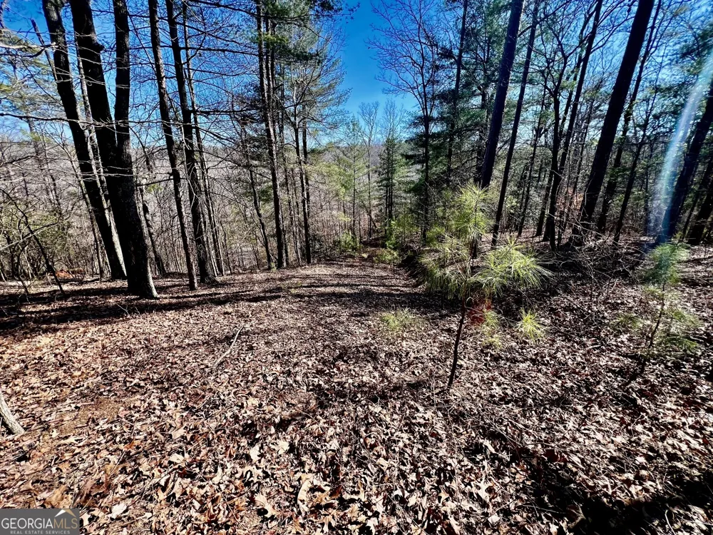 113 Beech Tree DR Ellijay, GA 30540