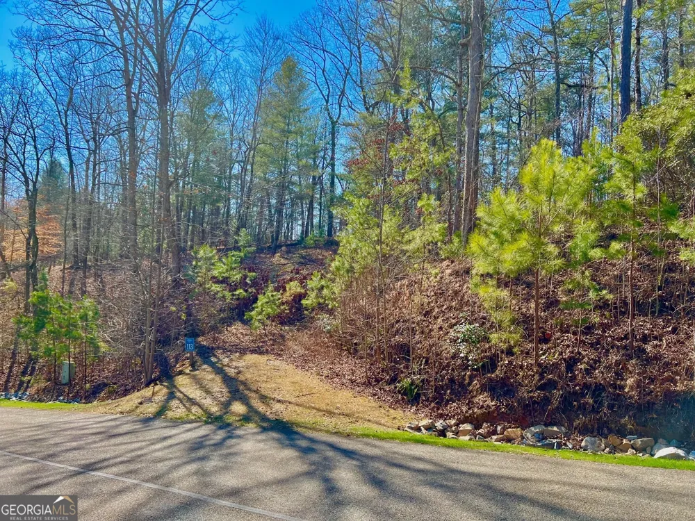 113 Beech Tree DR Ellijay, GA 30540