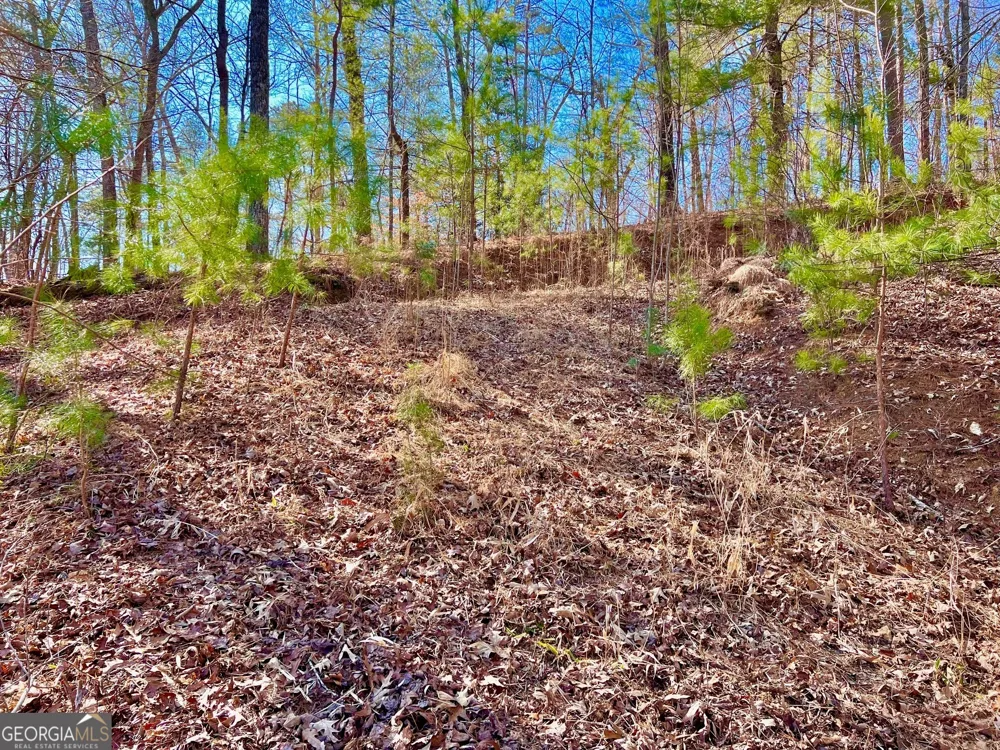 113 Beech Tree DR Ellijay, GA 30540