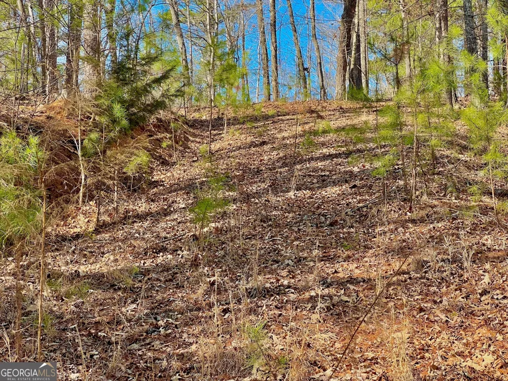 113 Beech Tree DR Ellijay, GA 30540