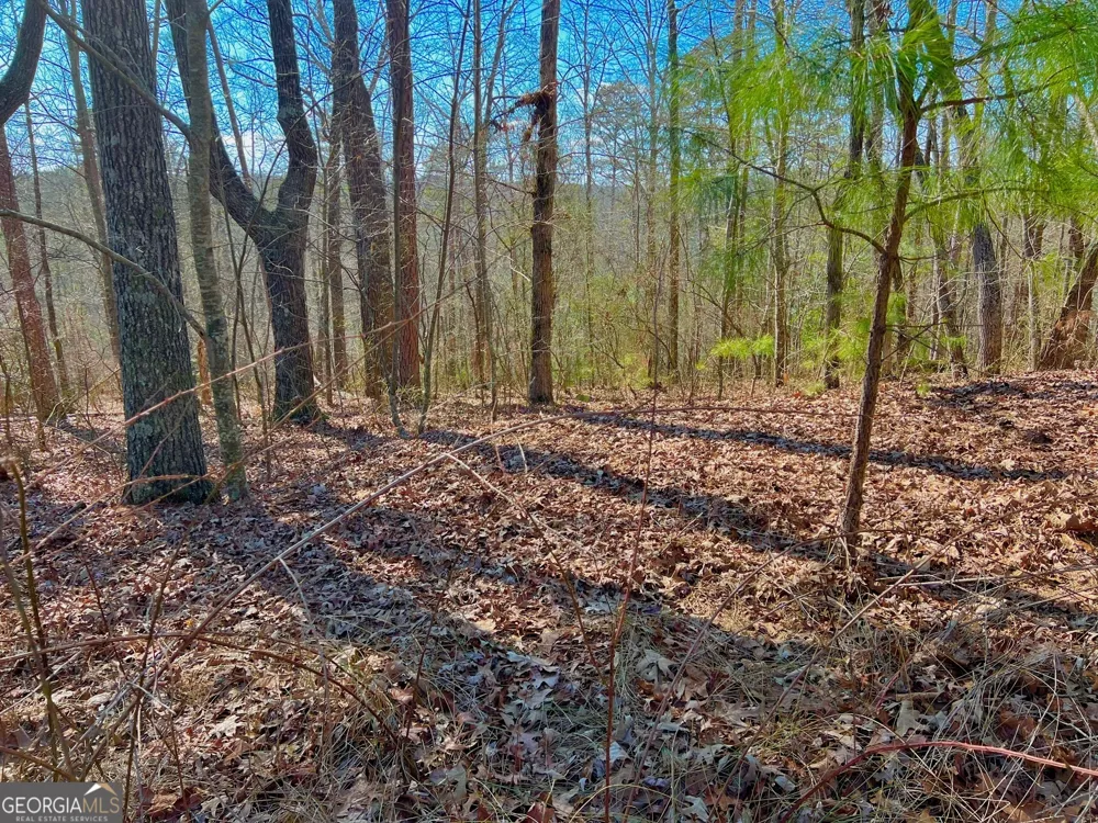 113 Beech Tree DR Ellijay, GA 30540