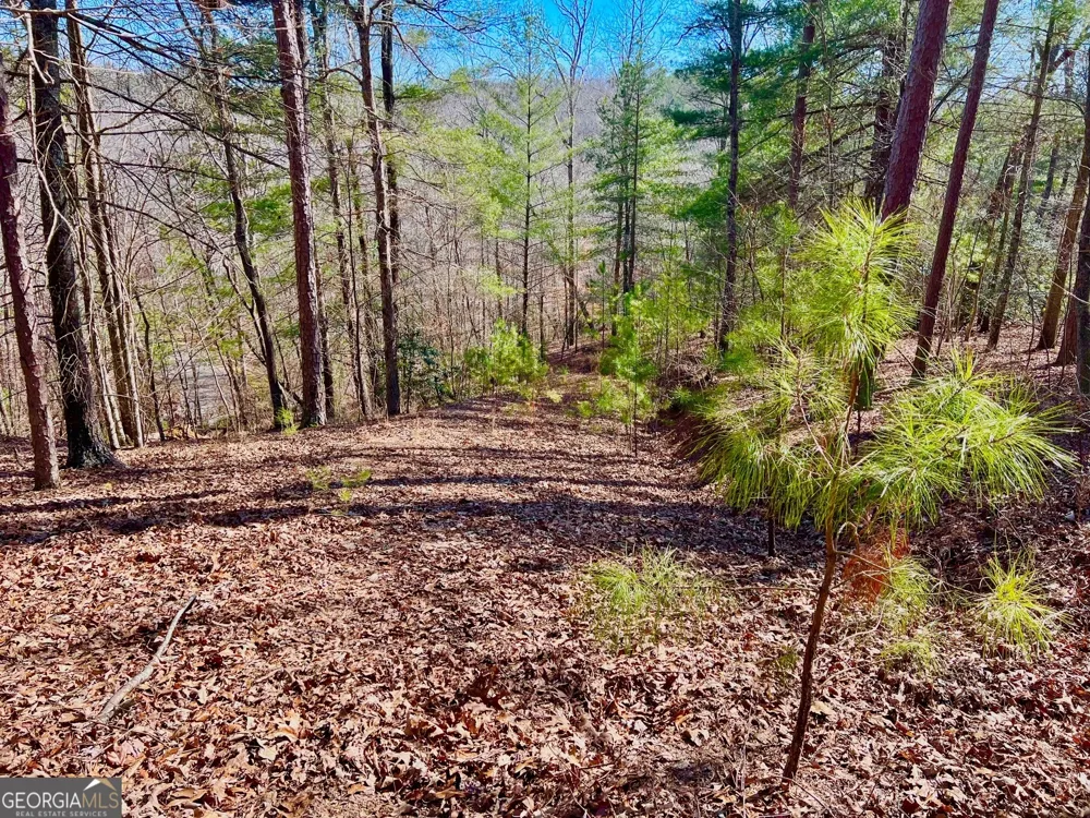 113 Beech Tree DR Ellijay, GA 30540