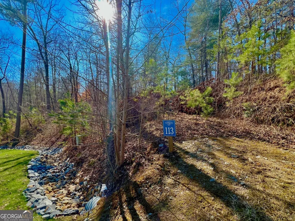 113 Beech Tree DR Ellijay, GA 30540