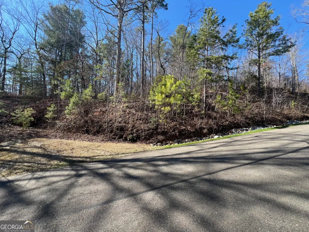 113 Beech Tree DR Ellijay, GA 30540