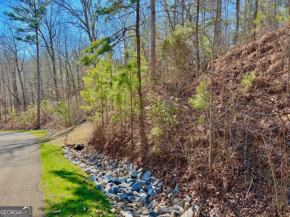 113 Beech Tree DR Ellijay, GA 30540
