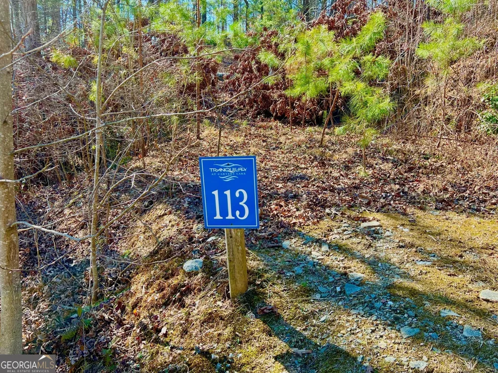 113 Beech Tree DR Ellijay, GA 30540