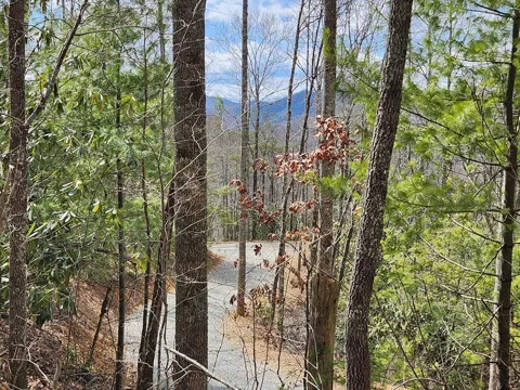 Camp Branch RD