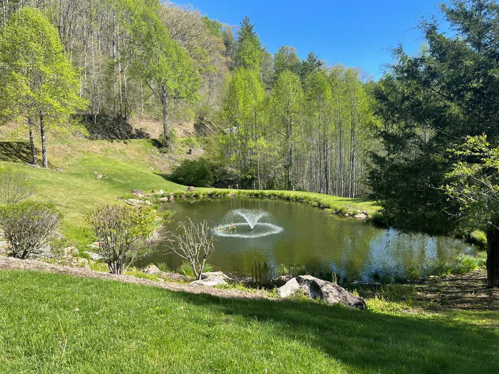 Allspice Ct Tuckasegee, NC 28783