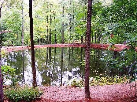 Allspice Ct Tuckasegee, NC 28783