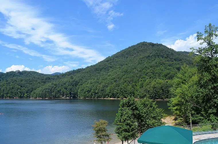 Allspice Ct Tuckasegee, NC 28783