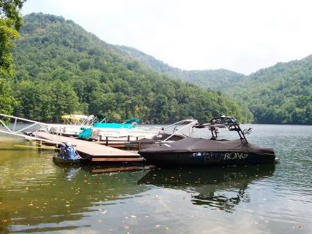 Allspice Ct Tuckasegee, NC 28783