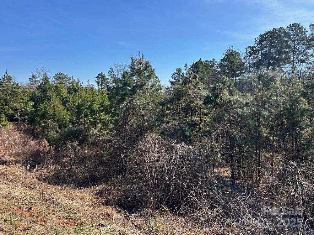 670 Talley Road Troutman, NC 28166