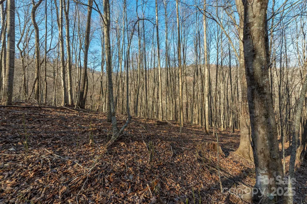 885 Stoney Stream Lane Arden, NC 28704