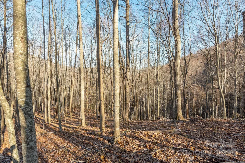 885 Stoney Stream Lane Arden, NC 28704
