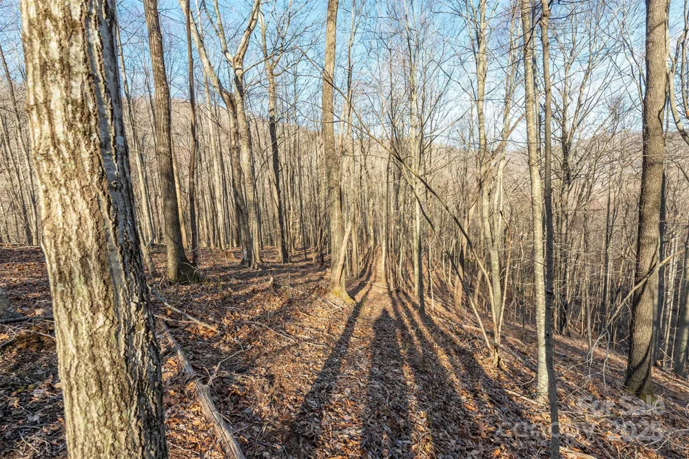 885 Stoney Stream Lane Arden, NC 28704