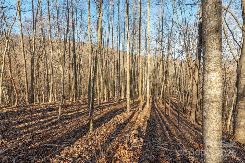 885 Stoney Stream Lane Arden, NC 28704