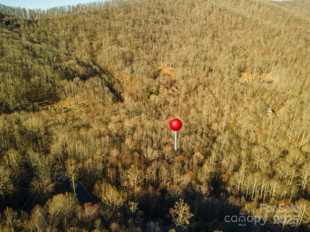 885 Stoney Stream Lane Arden, NC 28704