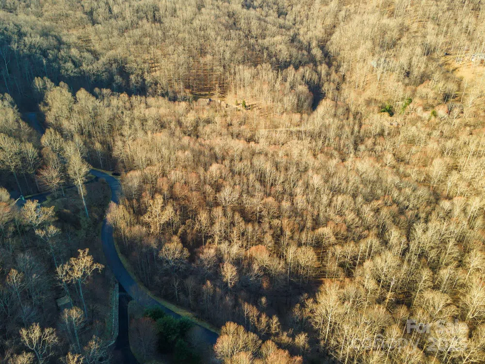 885 Stoney Stream Lane Arden, NC 28704