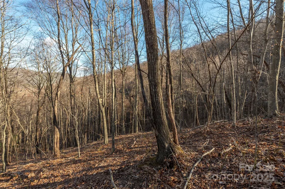 885 Stoney Stream Lane Arden, NC 28704