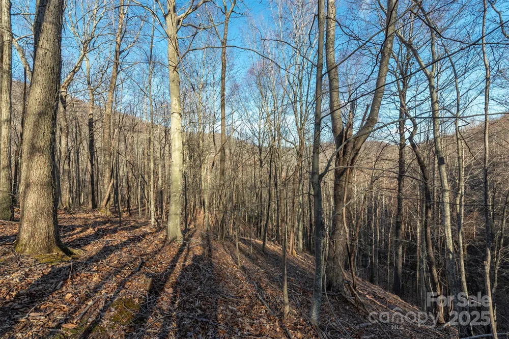 885 Stoney Stream Lane Arden, NC 28704