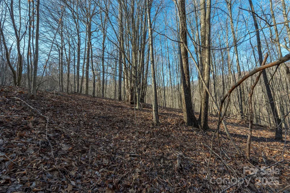 885 Stoney Stream Lane Arden, NC 28704