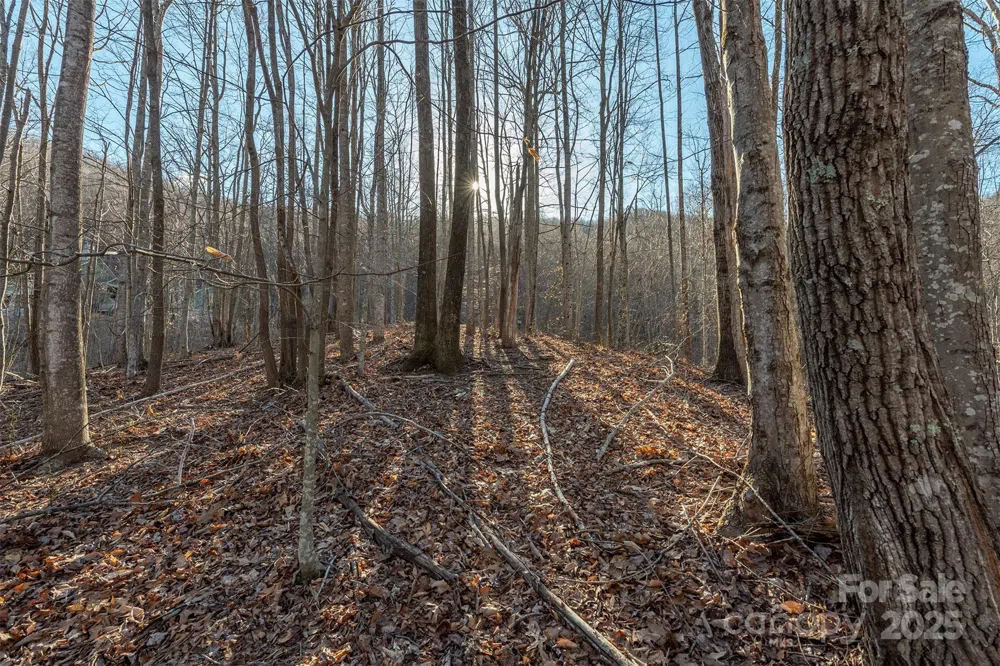 885 Stoney Stream Lane Arden, NC 28704