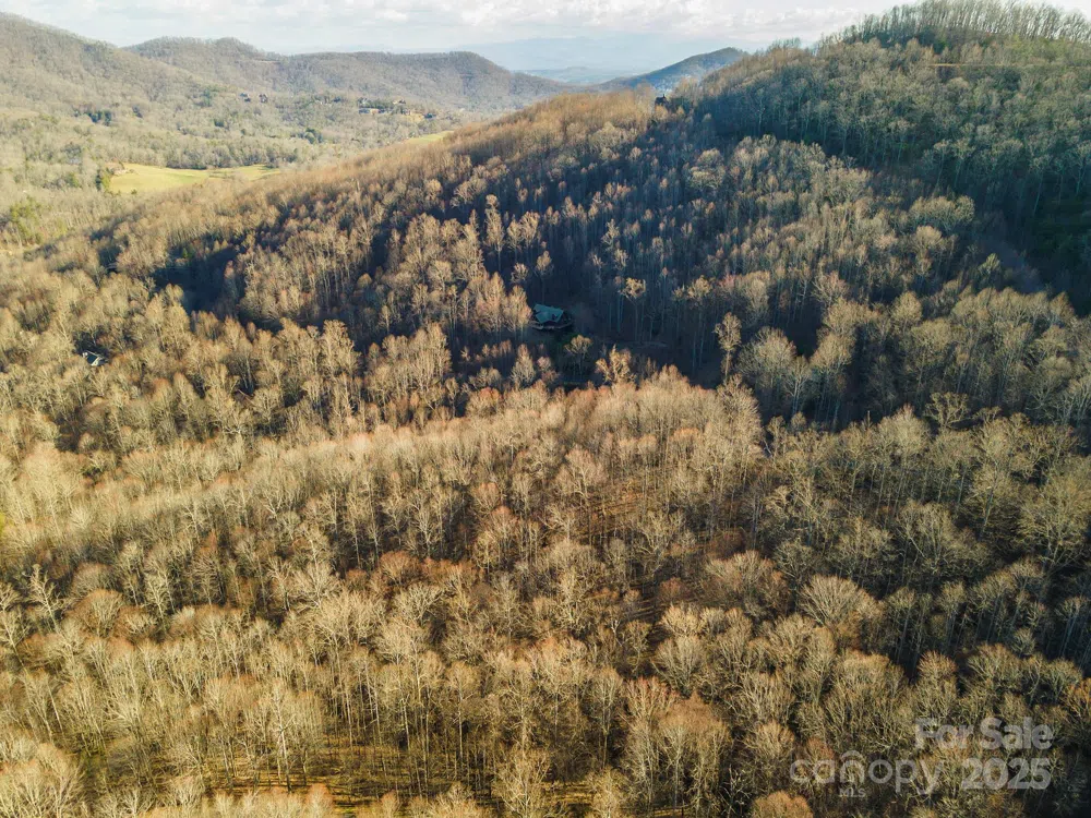 885 Stoney Stream Lane Arden, NC 28704
