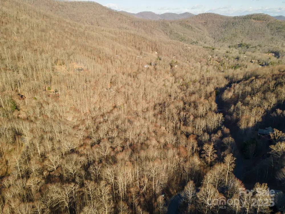 885 Stoney Stream Lane Arden, NC 28704