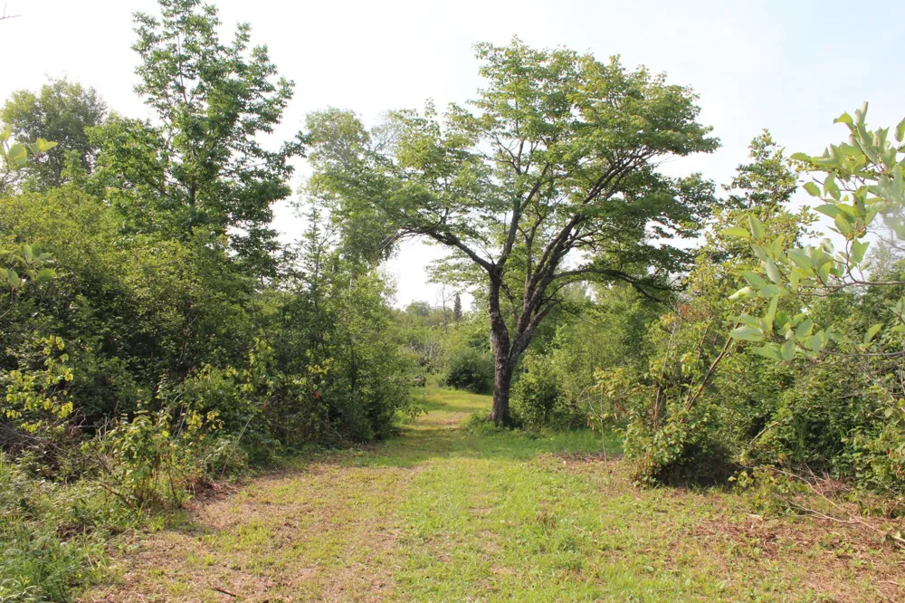 Lot 1 E Camp Amnicon Road Superior, WI 54874
