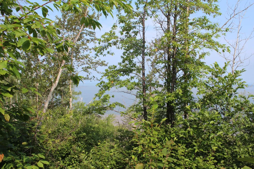 Lot 1 E Camp Amnicon Road Superior, WI 54874
