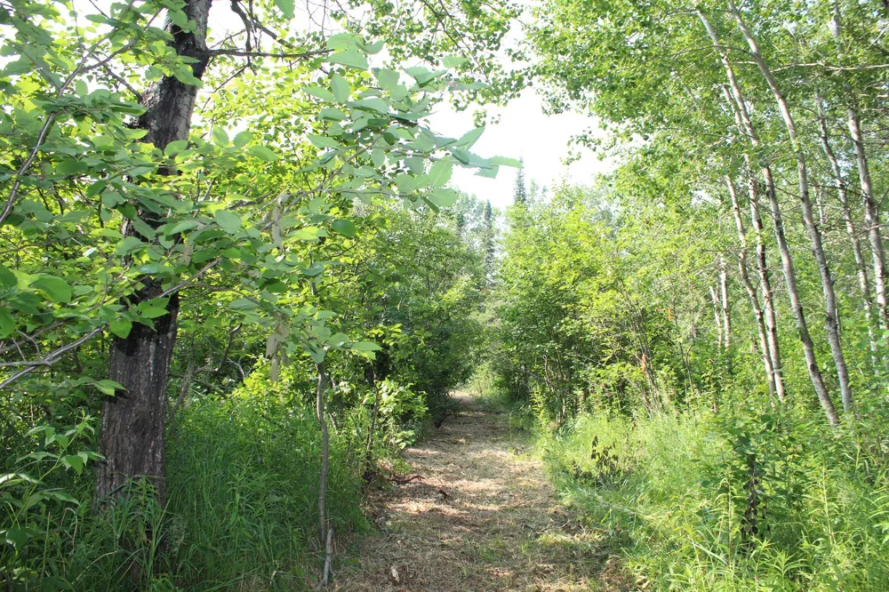 Lot 1 E Camp Amnicon Road Superior, WI 54874
