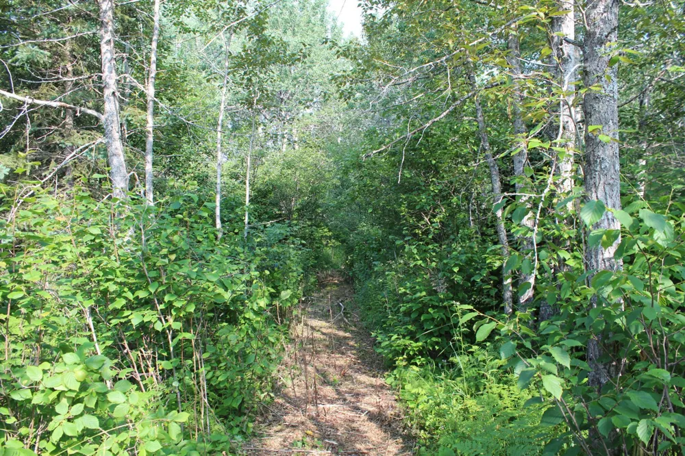 Lot 1 E Camp Amnicon Road Superior, WI 54874