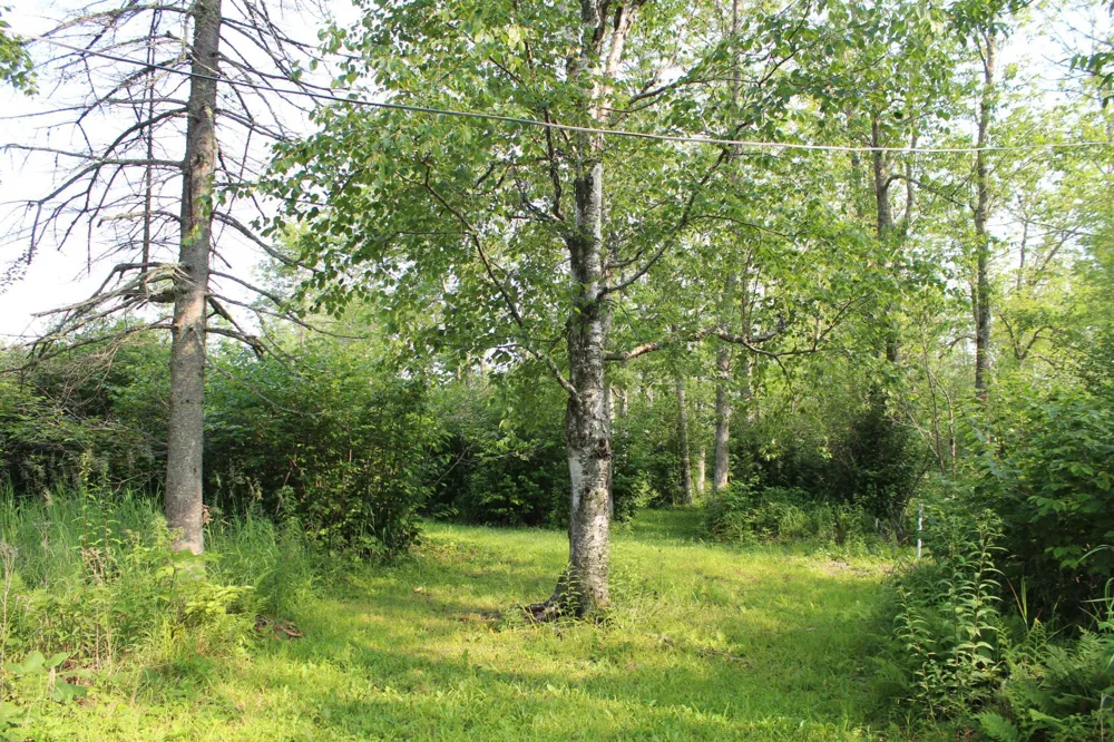 Lot 1 E Camp Amnicon Road Superior, WI 54874