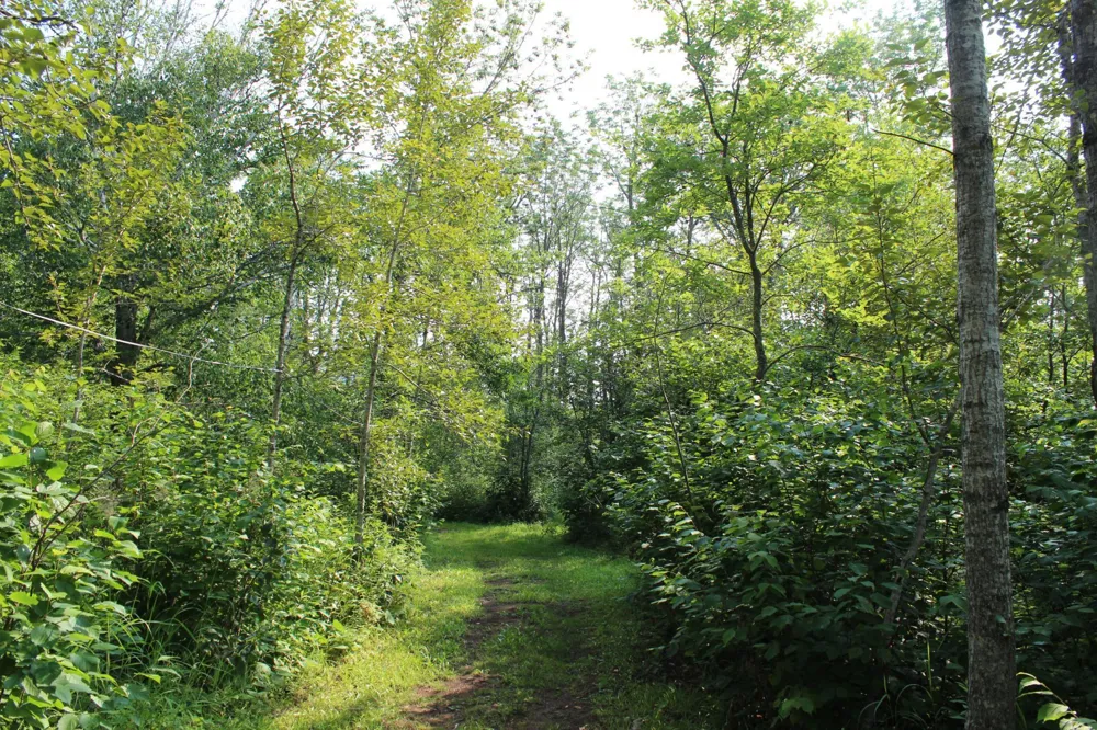 Lot 1 E Camp Amnicon Road Superior, WI 54874