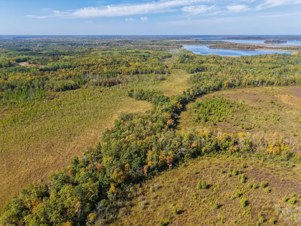 58.11 AC 164th Street NW Cass Lake, MN 56633