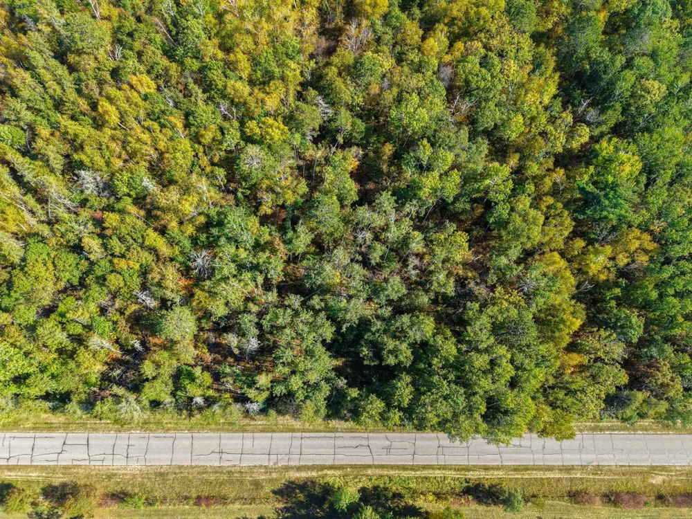 58.11 AC 164th Street NW Cass Lake, MN 56633