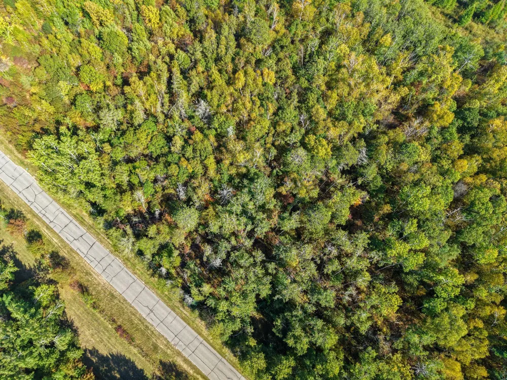 58.11 AC 164th Street NW Cass Lake, MN 56633