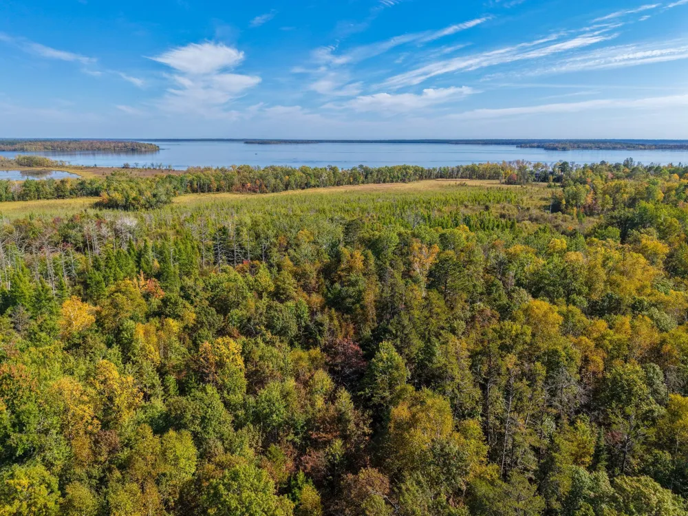 58.11 AC 164th Street NW Cass Lake, MN 56633