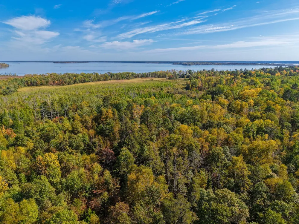 58.11 AC 164th Street NW Cass Lake, MN 56633