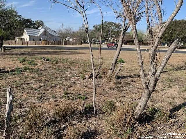 407 Wilson Dr Devine, TX 78016