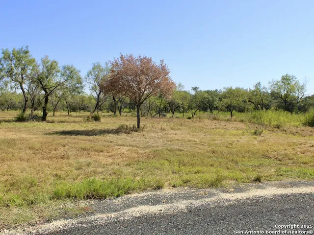189 E Medium Meadow Drive Lytle, TX 78052