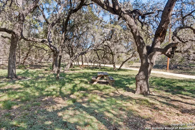 000 Canyon Oaks Dr. Concan, TX 78838