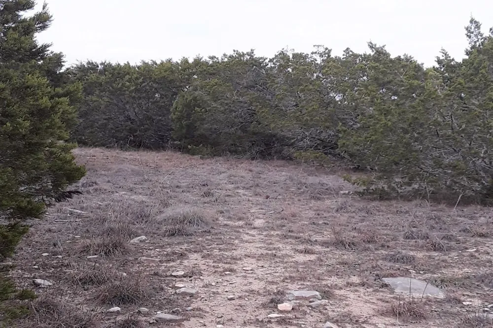 116 Oak Crest Drive Bertram, TX 78605