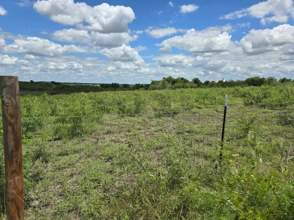 414 3G Ranch Road Kyle, TX 78640