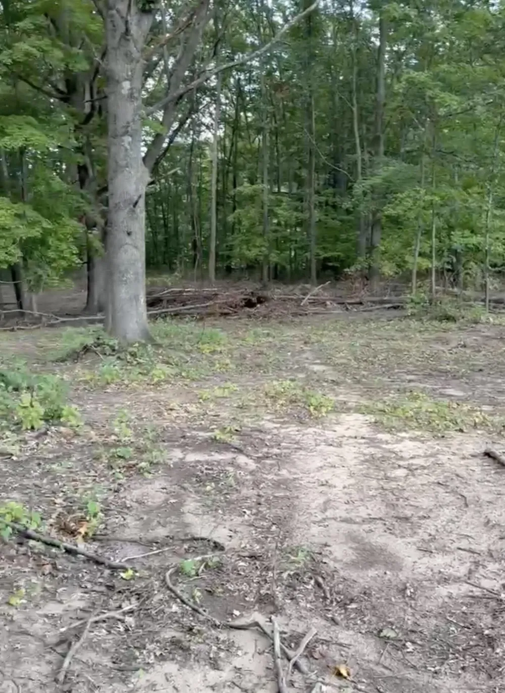 5555 128th Avenue Fennville, MI 49408