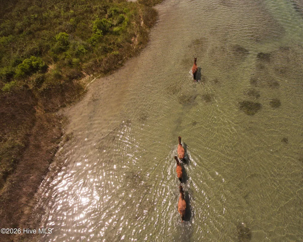 908 & 922 Island Road Harkers Island, NC 28531